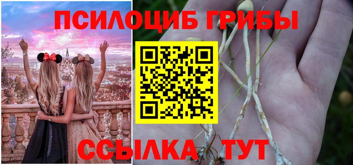 Псилоцибиновые грибы GOLDEN TEACHER  Вход с VPN  Великие Луки 