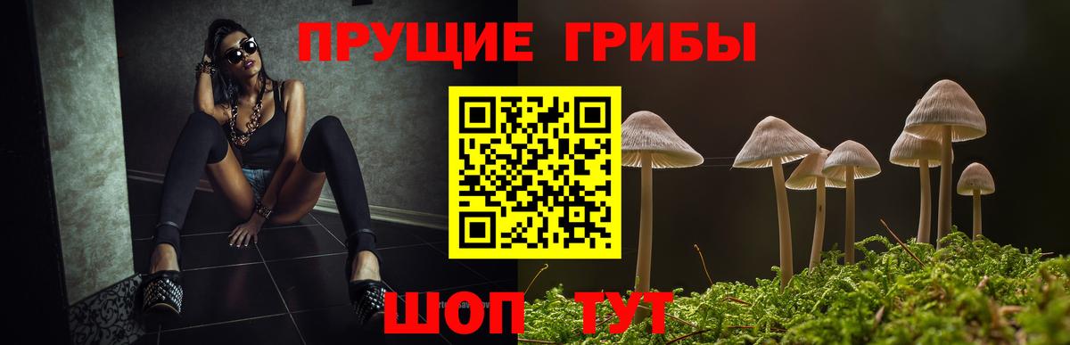 Псилоцибиновые грибы GOLDEN TEACHER Великие Луки